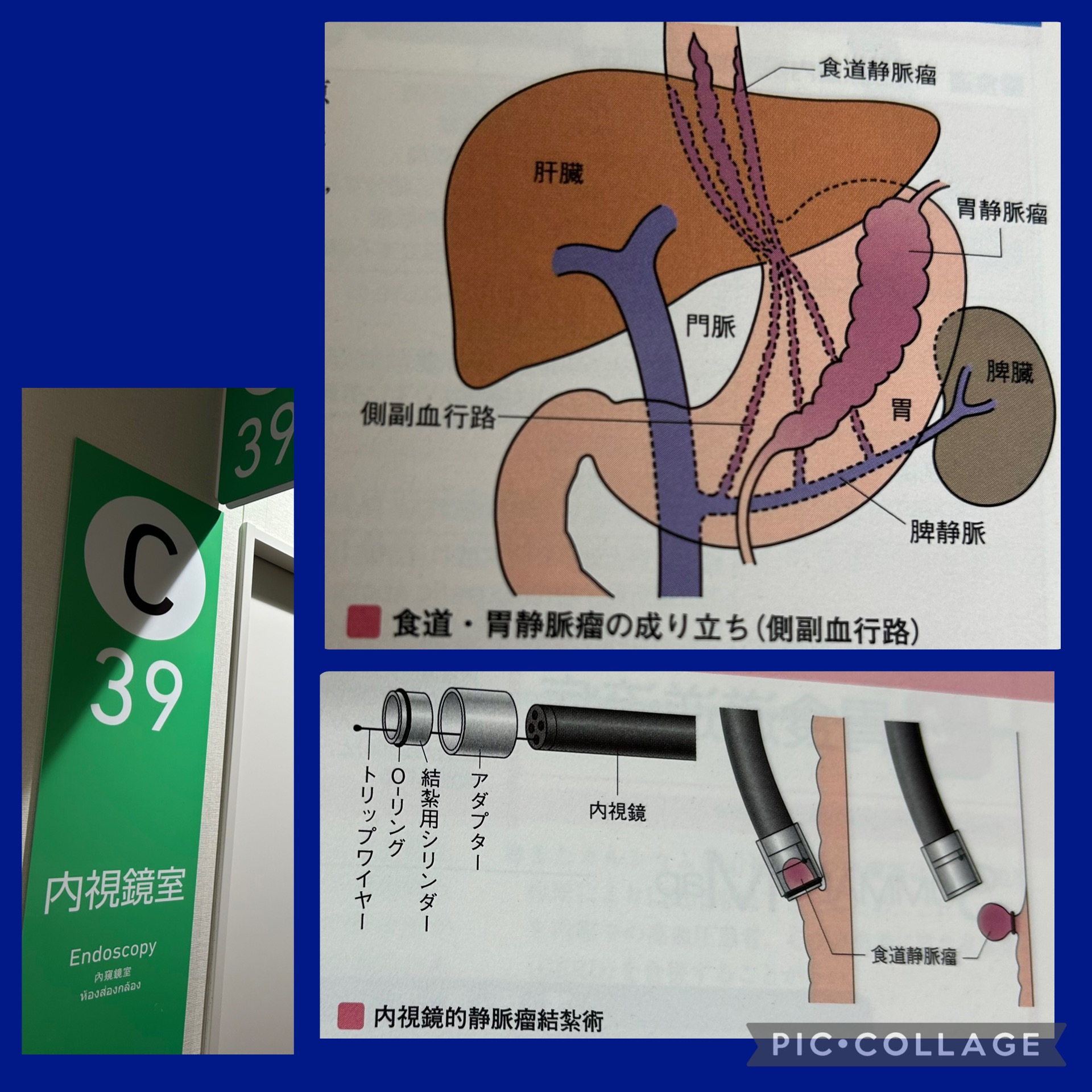 活動歴および当時の関連ビジュアル記録
